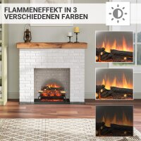 BALDERIA Lily Electric Fireplace Insert - Fireplace - Black