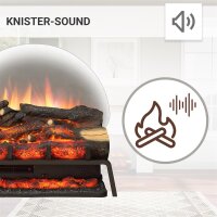 BALDERIA Lily Electric Fireplace Insert - Fireplace - Black