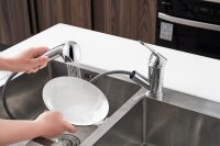 WELLBAD AURORA Küchenarmatur mit ausziehbarer Handbrause Chrom