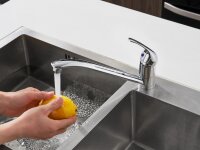 WELLBAD SERENE Kitchen Faucet