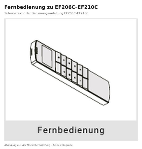 BALDERIA Fernbedienung zu Elektrokaminen | Zubehör zu EF206-210C